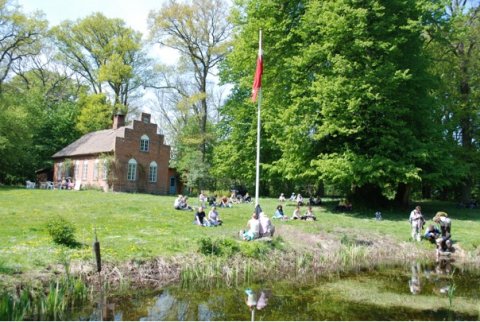 Dornæs